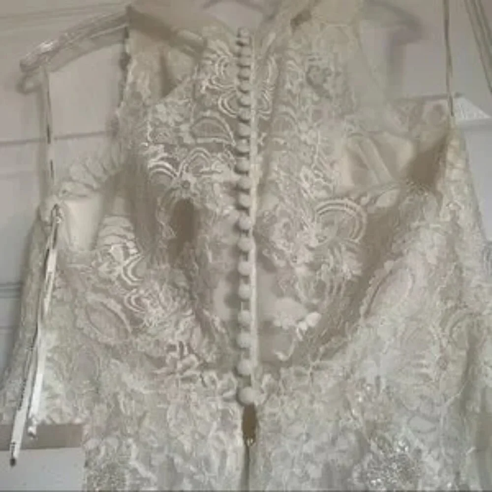 Pronovias Draconia Wedding Dress - Picture 10 of 13